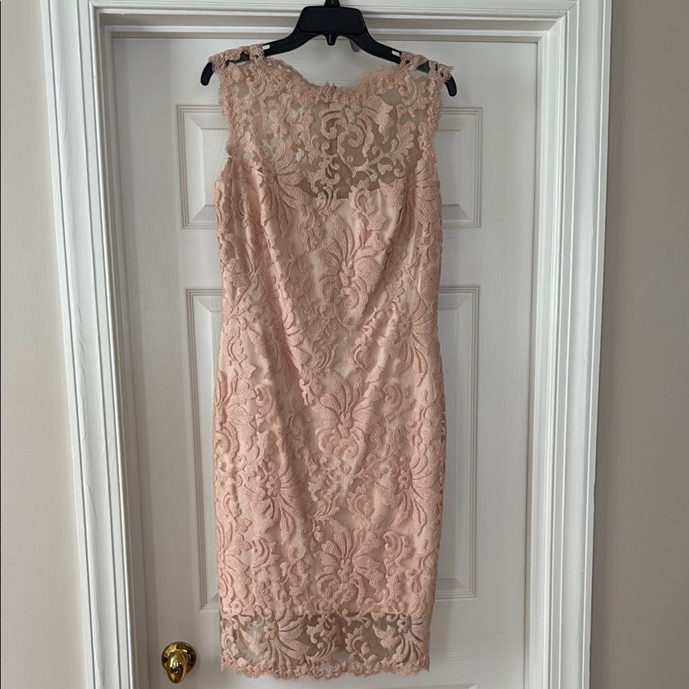 Elegant Lace Dress in Blush Pink